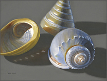 three seashells